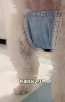 https://images.plurk.com/PuZ3gP269Gpp90GUyKSVB.jpg