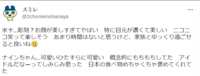 https://images.plurk.com/PvQyL1iMZJyxeDbwJ71DB.png
