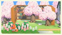 https://images.plurk.com/Q5EdtQFACya04To0VXBDR.jpg
