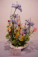 https://images.plurk.com/QAHRMFxt1f2P4Y86j3NKv.jpg