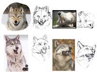 https://images.plurk.com/QCKc23KKX2xBLDlapjj0M.png