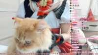 https://images.plurk.com/QCTxI8hsIoQRwjkwFfzLt.png