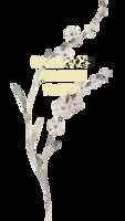 https://images.plurk.com/QCd2sue3SxdOGM5jvkFRY.png