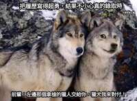 https://images.plurk.com/QIh7atGy7ZODzwOv36d6l.jpg