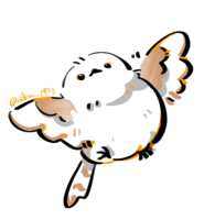https://images.plurk.com/QPQNs1grM2vLDPhSjv7xH.png