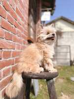https://images.plurk.com/QZrxmHb8lPX9OTD14yDkG.jpg