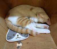 https://images.plurk.com/QamIGe7Qbp98G2VwUmHpz.jpg
