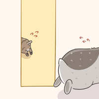 https://images.plurk.com/QcdSUWUSVqiYkLALPaONq.jpg