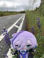 https://images.plurk.com/QefDXX6SjdUIESzthR0q1.jpg