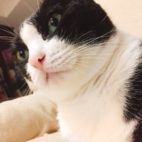 https://images.plurk.com/QjrdMa4A4fUMGjd3ec35.jpg