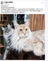 https://images.plurk.com/Ql3BtbtZQVd60nlqrpsxu.png
