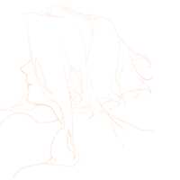 https://images.plurk.com/QnZJNqn4ymJ4KvzrVpbu8.gif