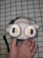 https://images.plurk.com/QolqhUsVDaQHOLgvy9vMr.jpg