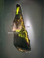 https://images.plurk.com/Qq7Uqa1y7eLznS9IszkjZ.jpg