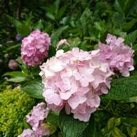 https://images.plurk.com/R4Jnzg6e0vBSPeBCuwxHt.jpg