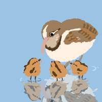 https://images.plurk.com/RB7gF3cZXu4qpvJ4Ry652.jpg