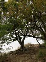 https://images.plurk.com/RGpi37jbcEqxpUYqVEAak.jpg