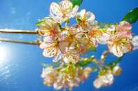 https://images.plurk.com/RGzFgGPJdmDklNOi9eOAp.jpg