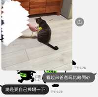 https://images.plurk.com/RNFehV5caS8WSkm8Om05U.jpg