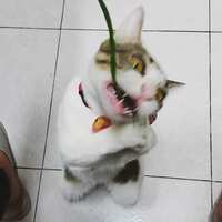 https://images.plurk.com/RRaBcVofvw0LB90P1MT2q.jpg