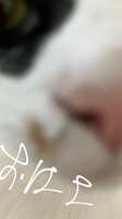 https://images.plurk.com/RfMLj5XcQuGs63LbPkFs0.jpg