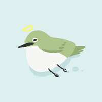 https://images.plurk.com/RsGOO1soq7gyvR1wGxT2N.png