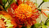 https://images.plurk.com/Rw9S5uBwHuD69jNyXXSy5.jpg