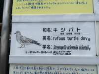 https://images.plurk.com/RzyVx2h0vDuH46vI13i8B.jpg