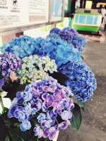 https://images.plurk.com/S4HJgoFsidKL86IklDmQF.jpg