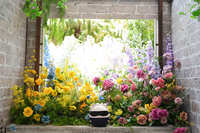 https://images.plurk.com/S8FwwwR6jzwLC9wr7ZoBV.jpg