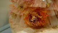 https://images.plurk.com/S8b615TkIO9ZdsgNYCoEg.jpg
