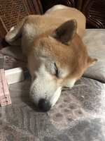 https://images.plurk.com/SDLeFLXhZBSyBpgqfCeOD.png