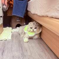 https://images.plurk.com/Spyr2Jk5pQSYYm1QqSmow.jpg