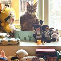 https://images.plurk.com/St6er1qQXIAmmpEIKgh0K.jpg