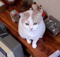 https://images.plurk.com/SzKSqhCVyDee56wL4oCVP.jpg