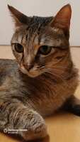 https://images.plurk.com/T3zKGV5p4gvBzwJR0AY41.jpg