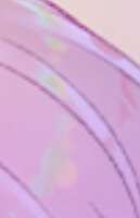 https://images.plurk.com/T4NlVN7ggGEXs3fbQNV6D.jpg