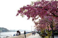 https://images.plurk.com/T4bawiePTKf9O994kSnHF.jpg