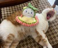 https://images.plurk.com/THbQamuc2rlgjCYEl2ZT7.jpg