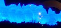 https://images.plurk.com/TR9solcxsCGNn8lFQ0oME.jpg