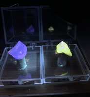 https://images.plurk.com/TTdZaGuyqsFDQZp1cRdpx.jpg