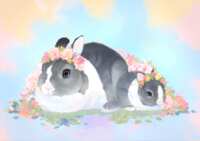 https://images.plurk.com/TTnHB6n7GRTr8HOZMnFuc.png