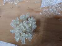 https://images.plurk.com/TaI3tXa7od3vBWhHV3FnZ.jpg