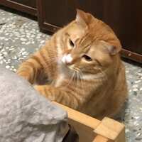 https://images.plurk.com/Tch0iQQBpYg2ndz7rfVsH.png