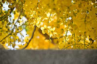 https://images.plurk.com/Tdm06bvFgwK0YPiDZsanh.jpg
