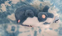 https://images.plurk.com/TgJrFHDpkTiHNILSOH8kb.jpg