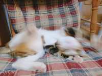 https://images.plurk.com/TiEb0VJIlkFa3Yd7cg0z6.jpg