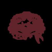 https://images.plurk.com/TnfiIigsVwSGbTnirwdkC.png