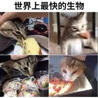 https://images.plurk.com/TtEpsJg6U5iWNzLmHSa2C.jpg