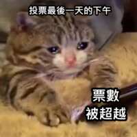 https://images.plurk.com/U4QoCmlieK7IZbqSASZlW.png